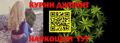 гидра Гатчина
