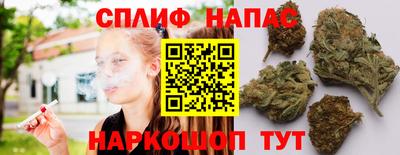 гидра Гатчина