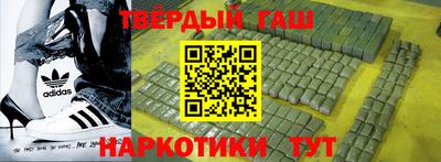 гидра Гатчина