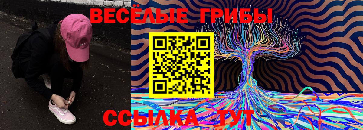 Галлюциногенные грибы Cubensis Искитим