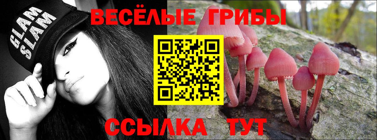 Искитим  Псилоцибиновые грибы прущие грибы  Вход с VPN 